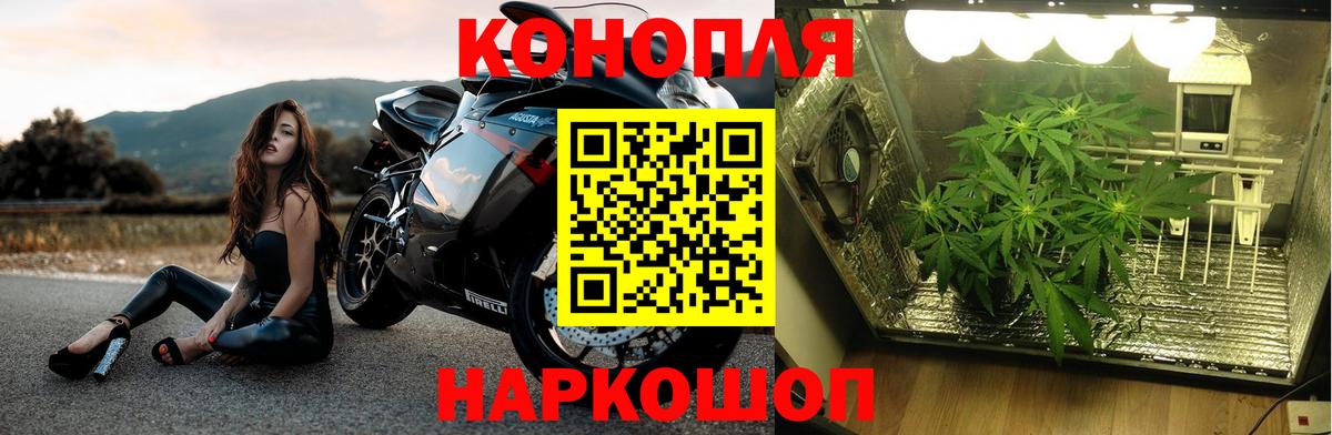 Канабис марихуана Аргун